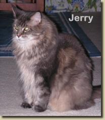 jerry