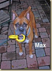 max