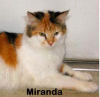 miranda