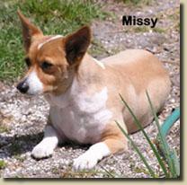 missy