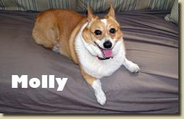 molly