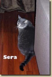 sera