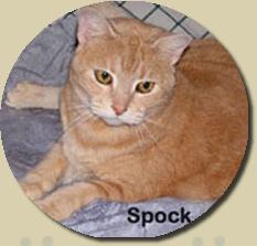 spock