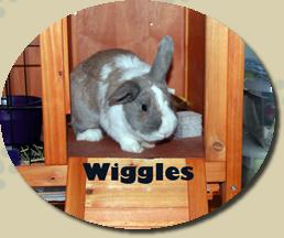 wiggles